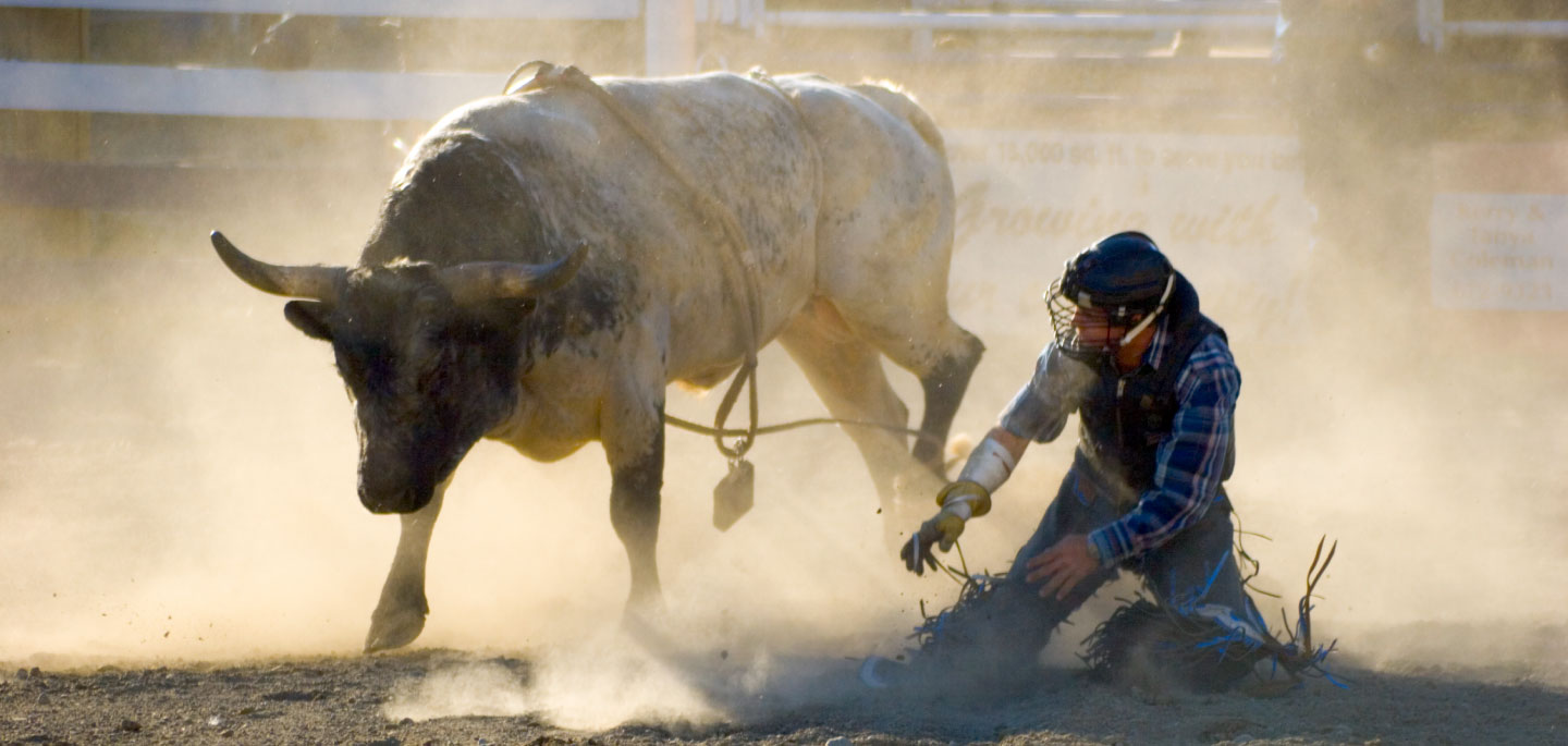 Professional Bull Riders Invitational Event Image