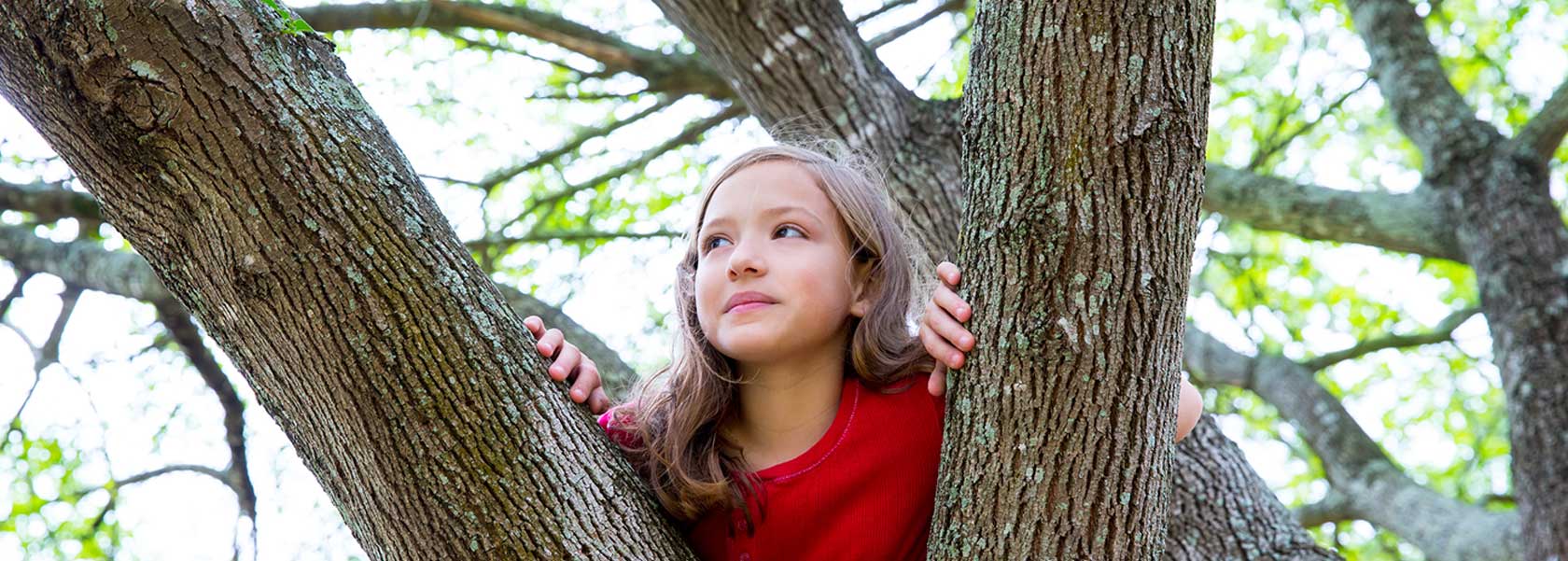 a girl climbing a tree
