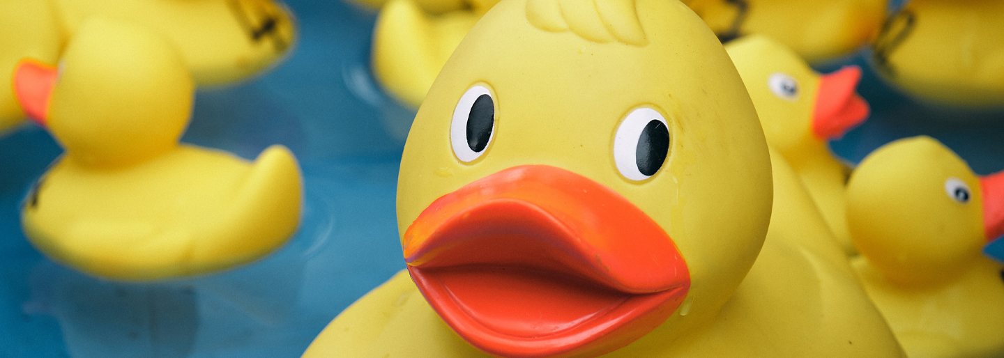 Yellow rubber duck with others in water