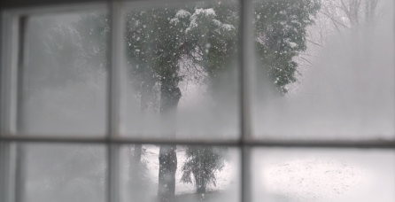 Frosted window looking out at snow.