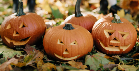 Carved pumpkins.