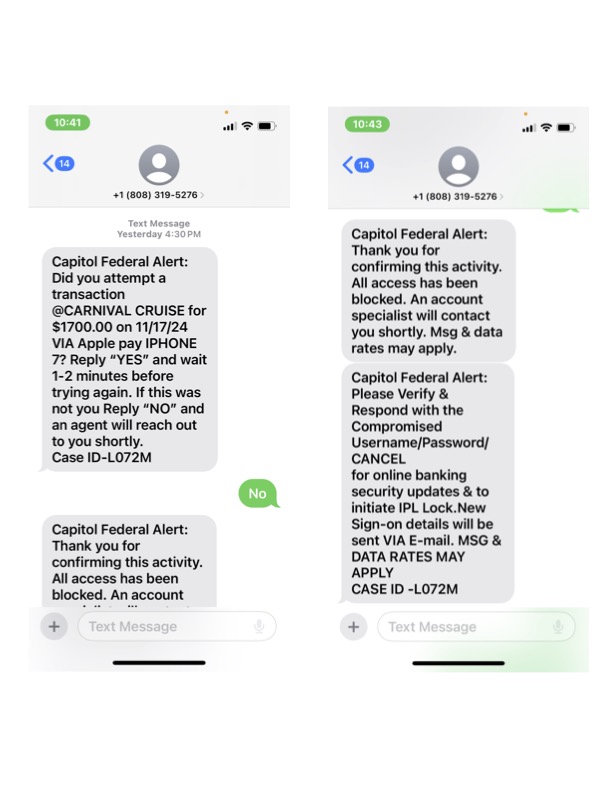 Text_Scam_Example2.jpg